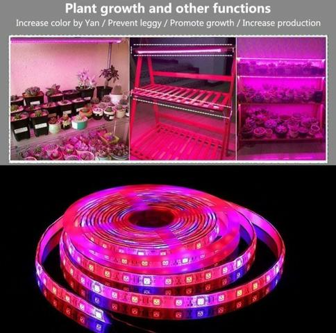 COD-CP325 1 Metro Fita Led Full Spectrum Indoor Grow 7red 1blue Cultivo Aquario Automação - Foto 3