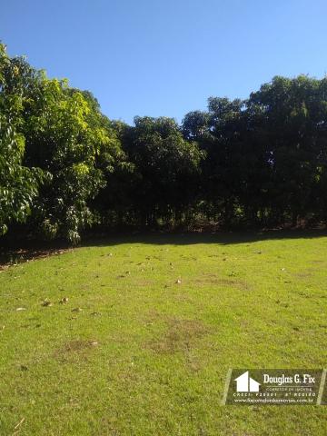 Chácara Em Munhoz de Melo - Foto 4