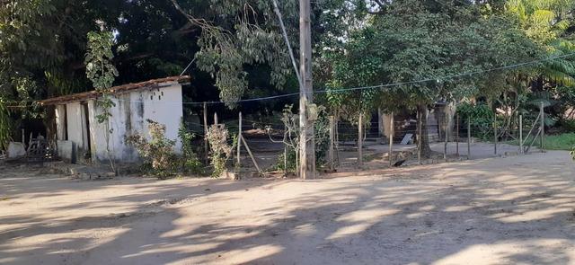 Belo Sítio em São José de Ribamar próximo ao Camino - Foto 10