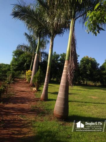 Chácara Em Munhoz de Melo - Foto 3