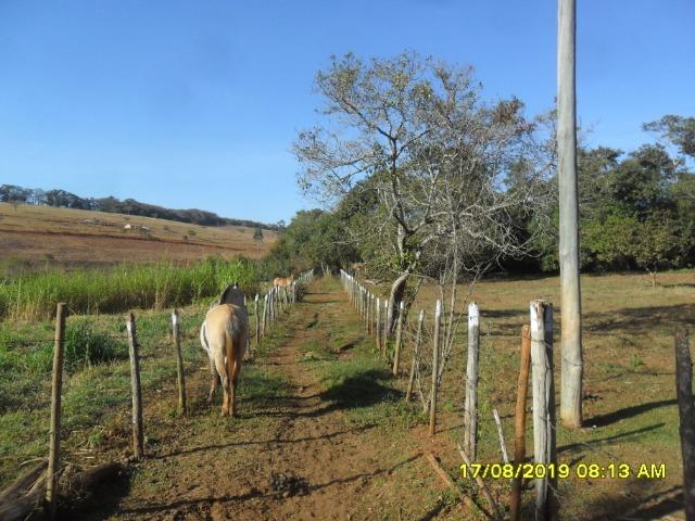 174B/ Belo haras de 12 ha pertinho da cidade de Entre Rios de Minas - Foto 2