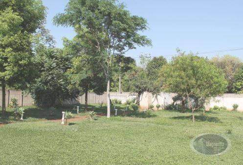 Chácara com 1 dormitório à venda, 2134 m² por r$ 500.000,00 - brodowski - brodowski/sp - Foto 8