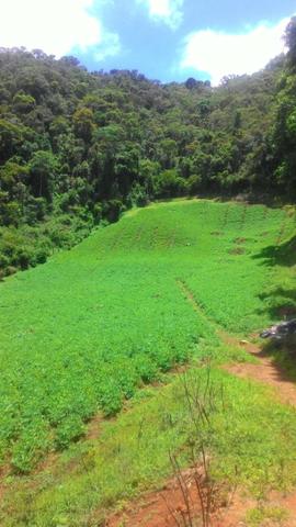 Lindo terreno de 2,8 hectares em Delfim Moreira Sul de Minas Gerais - Foto 8