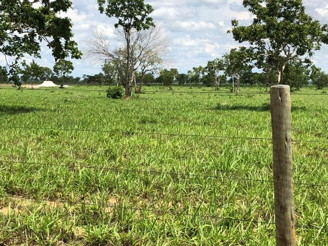 Fazenda 1.163 hectares em Livramento MT - Foto 5
