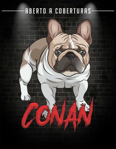 Bulldog Francês