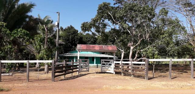 Vende-se fazenda