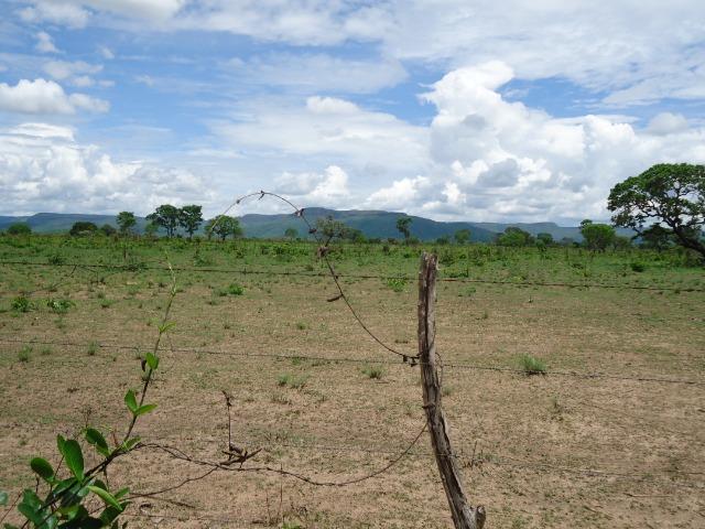 Fazenda em Monte do Carmo-To, 190ha - Foto 6