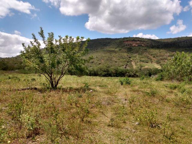 Vendo uma excelente área no bairro da Gameleira da Sede em Campo Formoso / Ba. - Foto 3