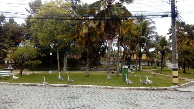 Vendo Casa no condomínio Clube 34 - Foto 14