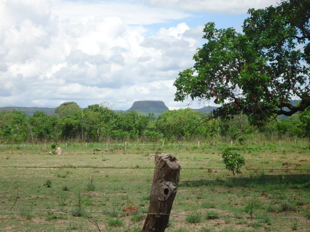 Fazenda em Monte do Carmo-To, 190ha - Foto 12
