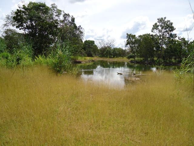 Fazenda em Monte do Carmo-To, 190ha - Foto 4