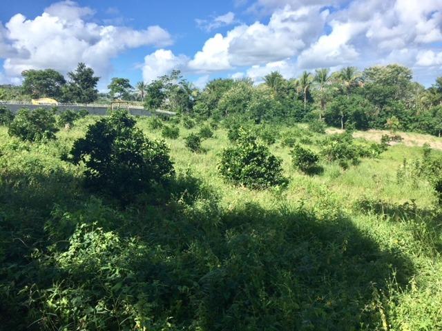 Area industrial 8000 m2, Sitio, Area Verde 12.000 , total 20.000 m2 - Foto 7