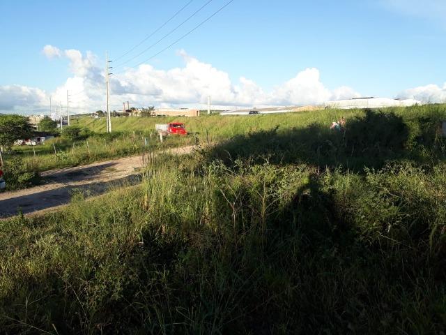 Ótima área com 4.4 hectares, em Caruaru-PE. Vende-se completa ou em partes.Aceita trocas! - Foto 3