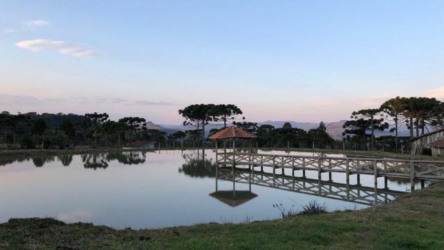 Fazenda Urubici/São joaquim - Foto 16