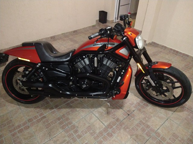 HARLEY DAVISON V ROD MONTER