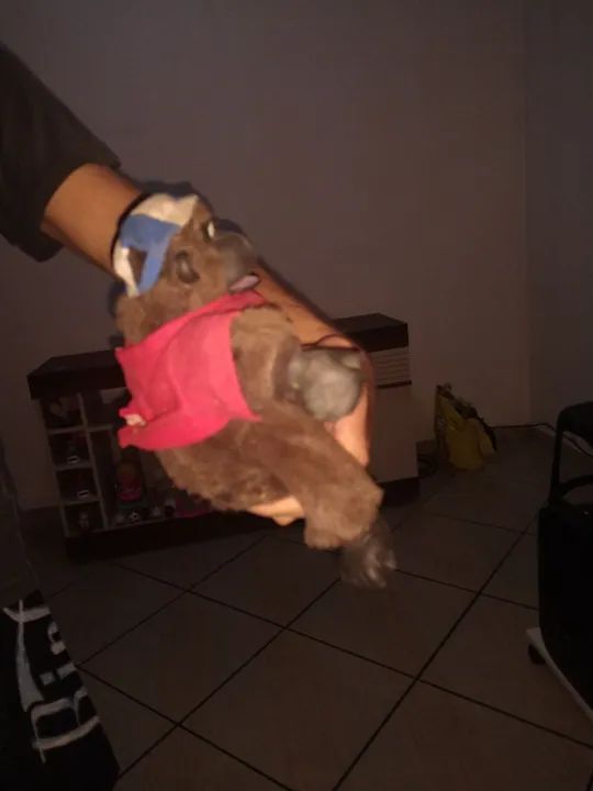 macaquinho asobia. Precisa de reparos - Foto 4