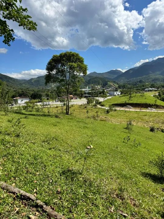 Terreno ao lado da BR 282 - Santo Amaro da Imperatriz - SC - Foto 15