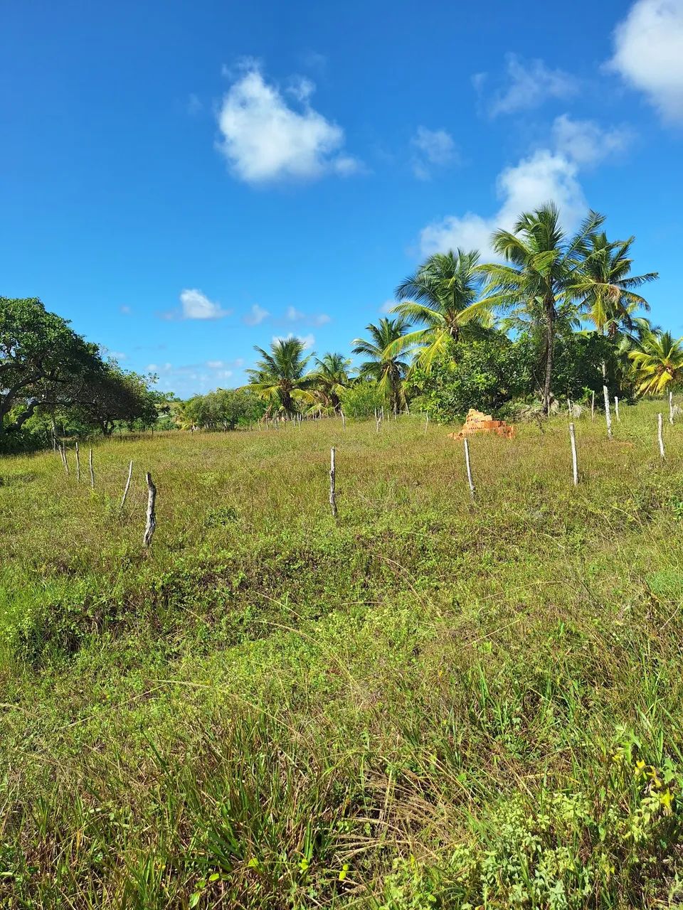 Para Vender rápido (Terreno com 30x 130) - Foto 2