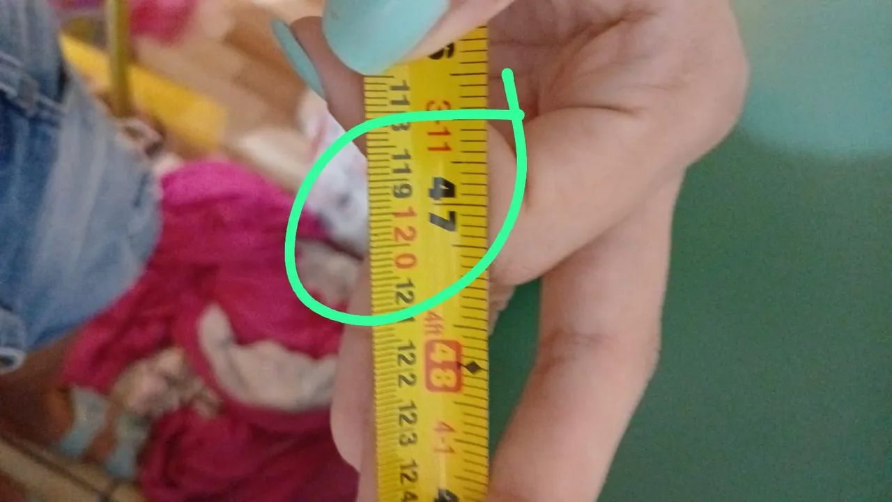 Espelho Grande. - Foto 4