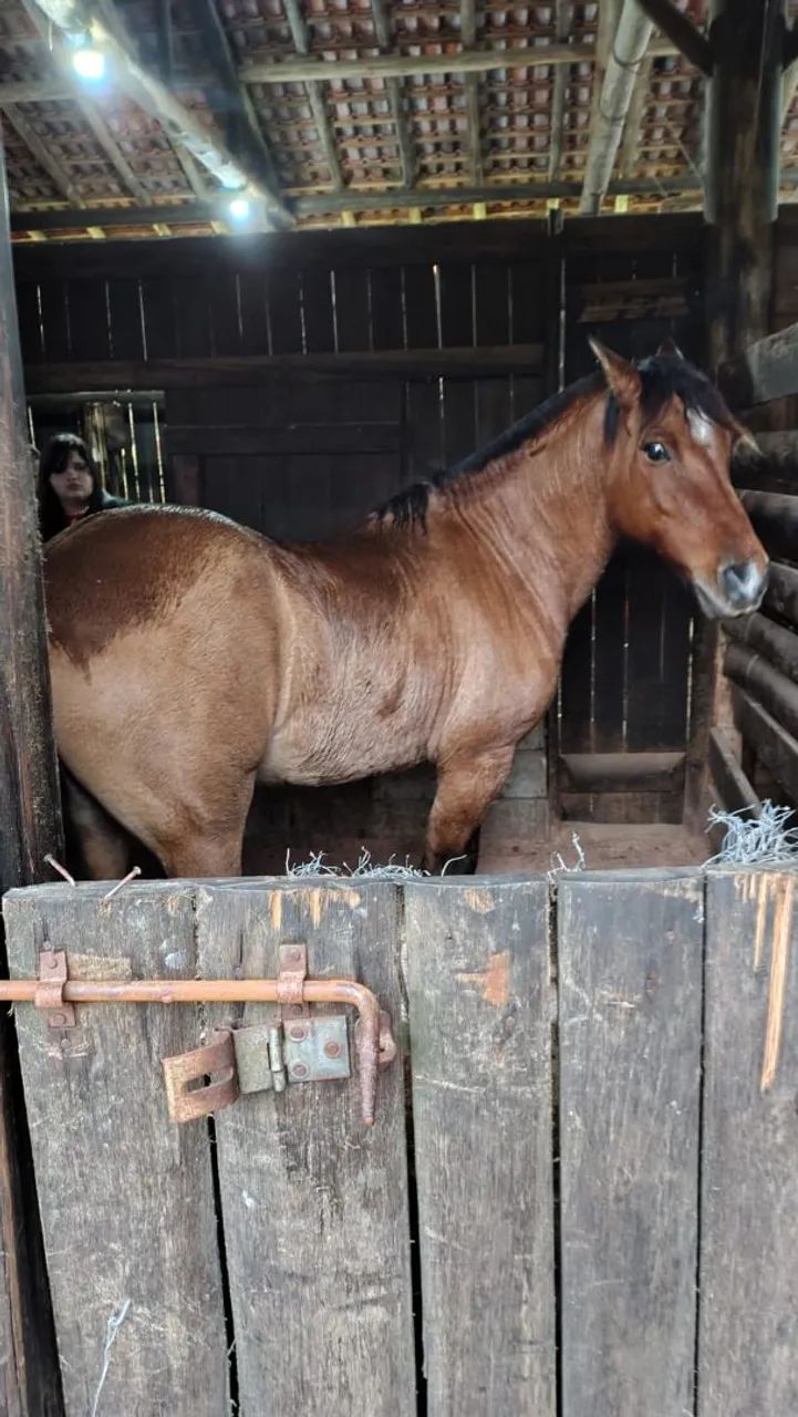 Vendo ou troco - Foto 3