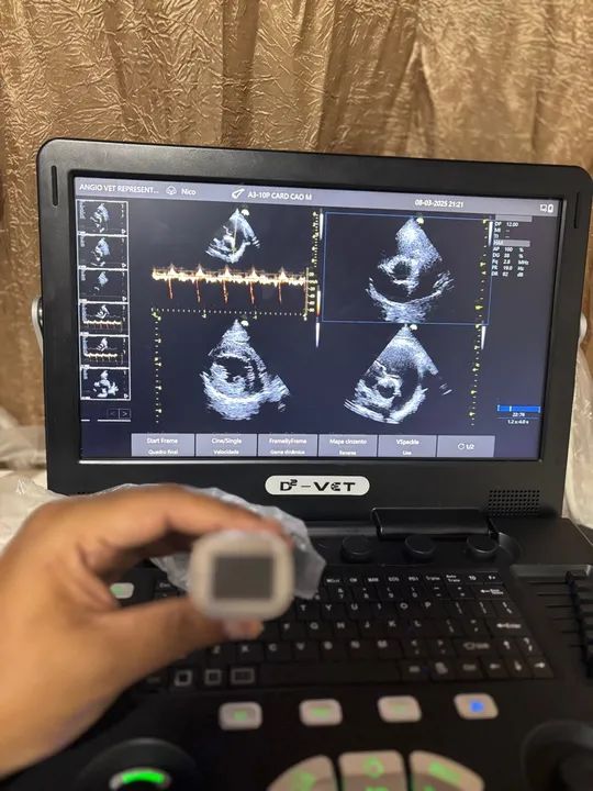 Ultrassom Veterinário  - Foto 3