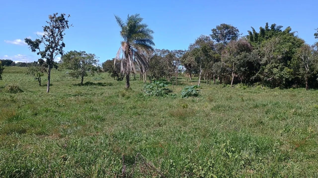 Chácara com escritura 20.000 metros  - Foto 3