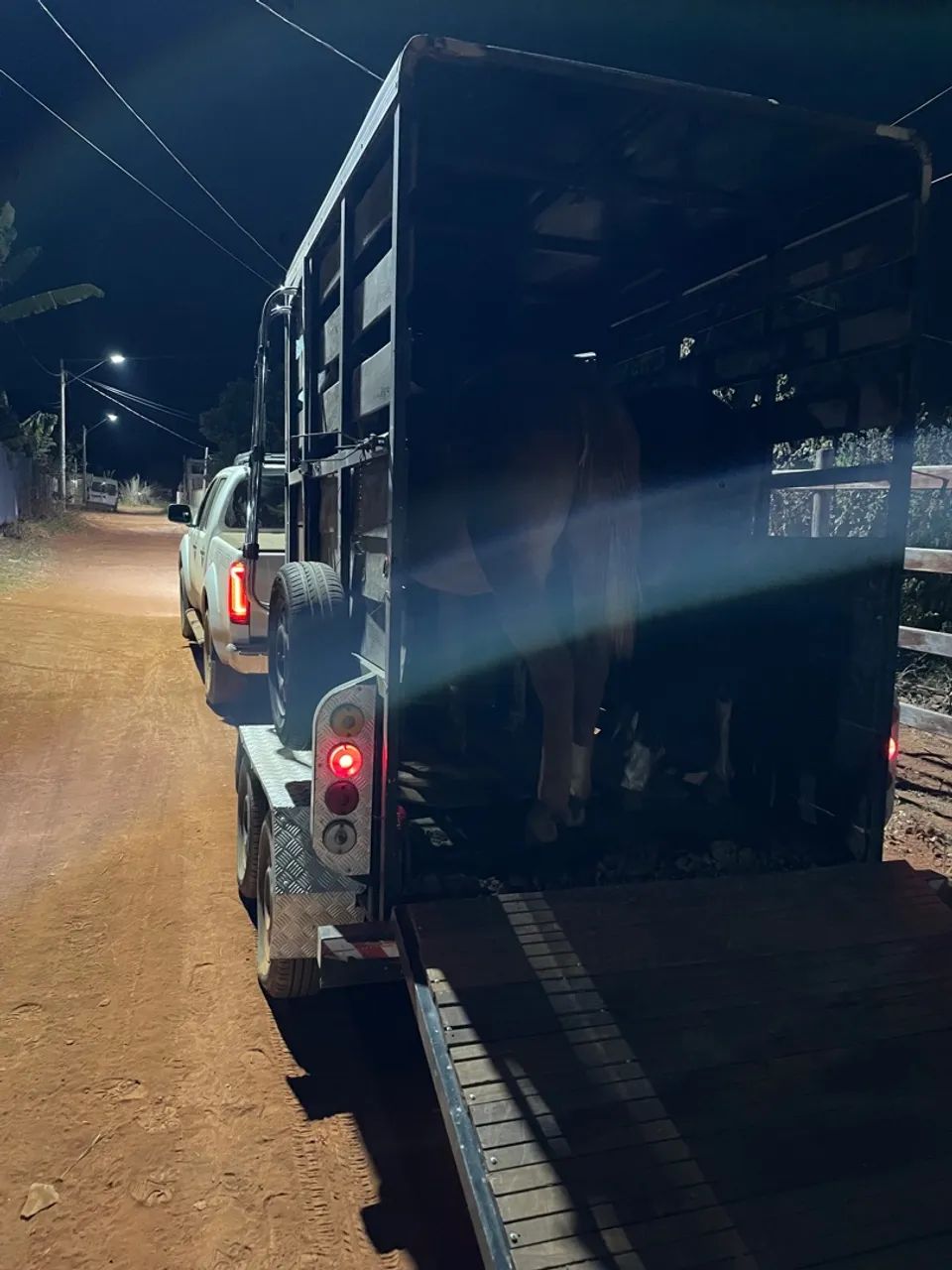 Transporte de Cavalos - Foto 5