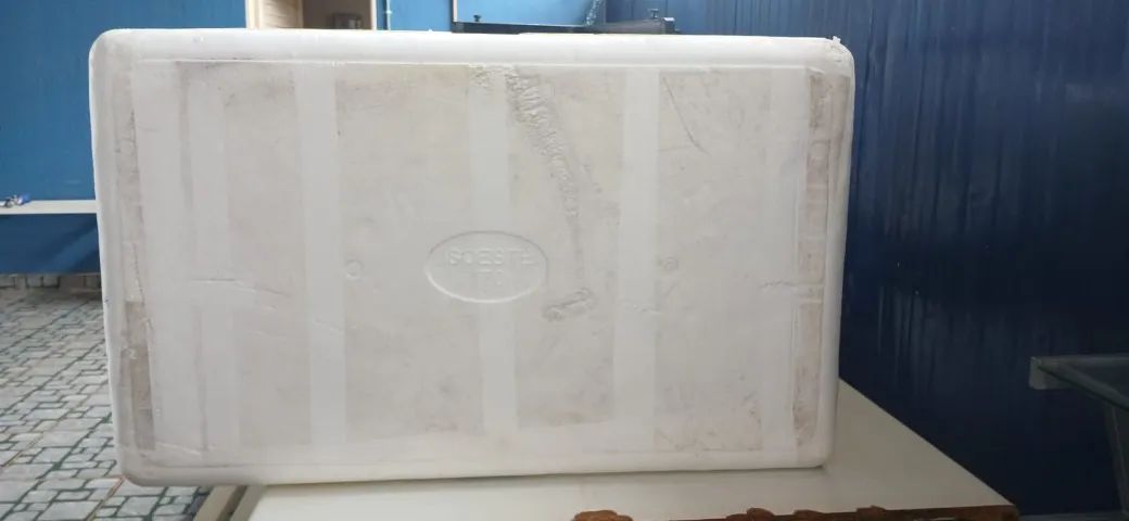 Caixa Térmica Isopor 170 Litros Grande - DISPONÍVEL (60CX) - Foto 4