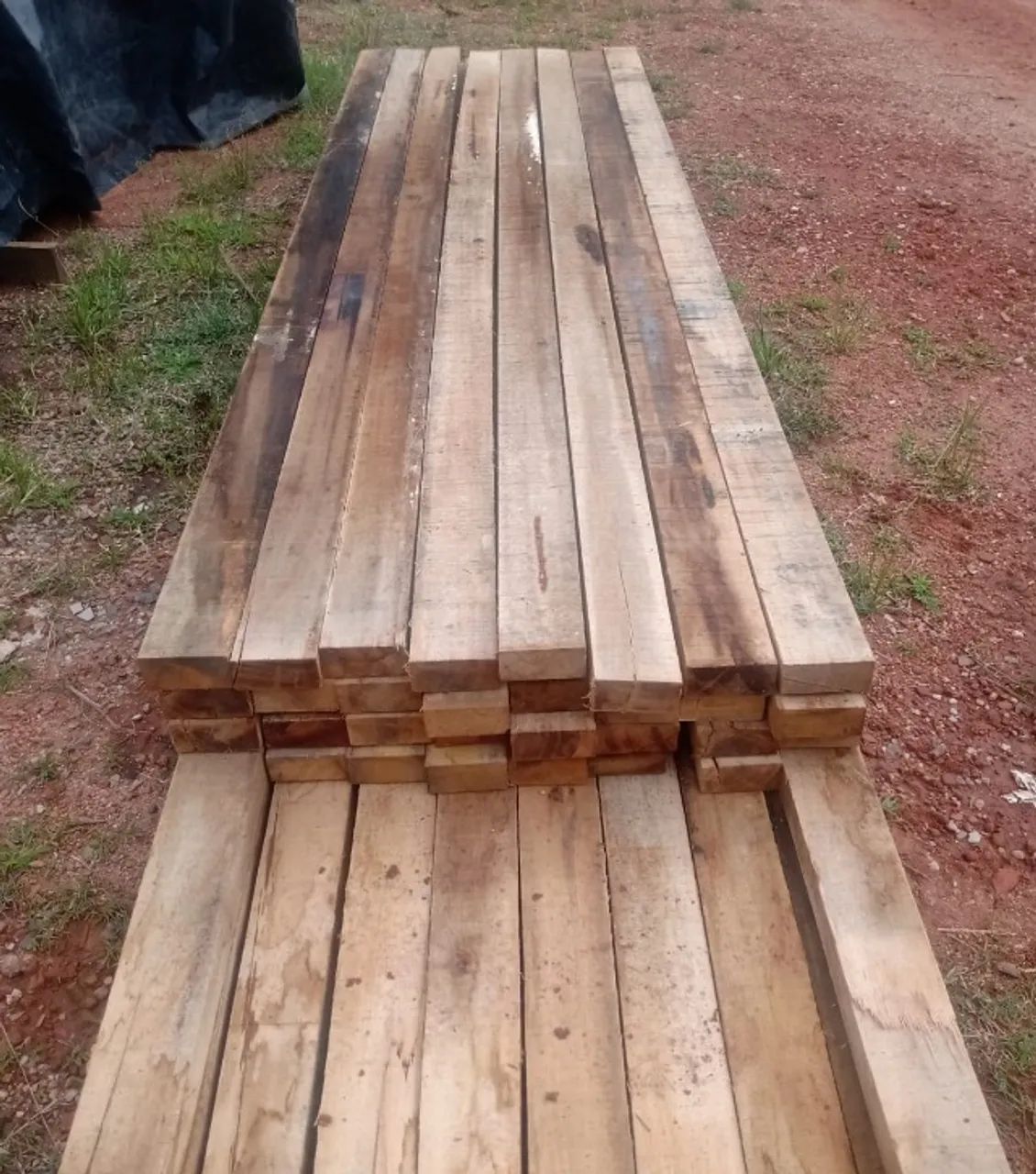 Tábua eucalipto - Foto 2