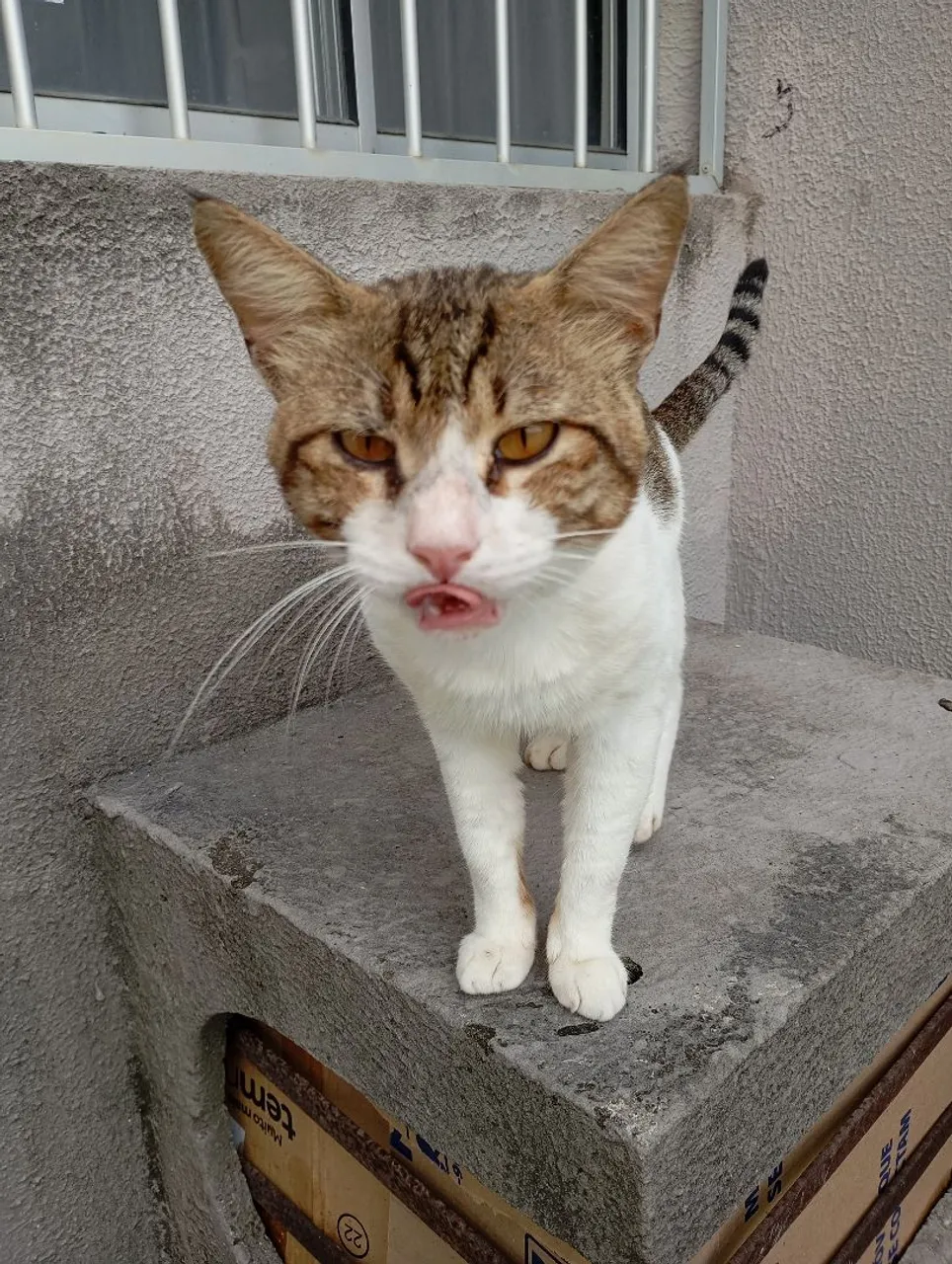 FUI ABANDONADO ?