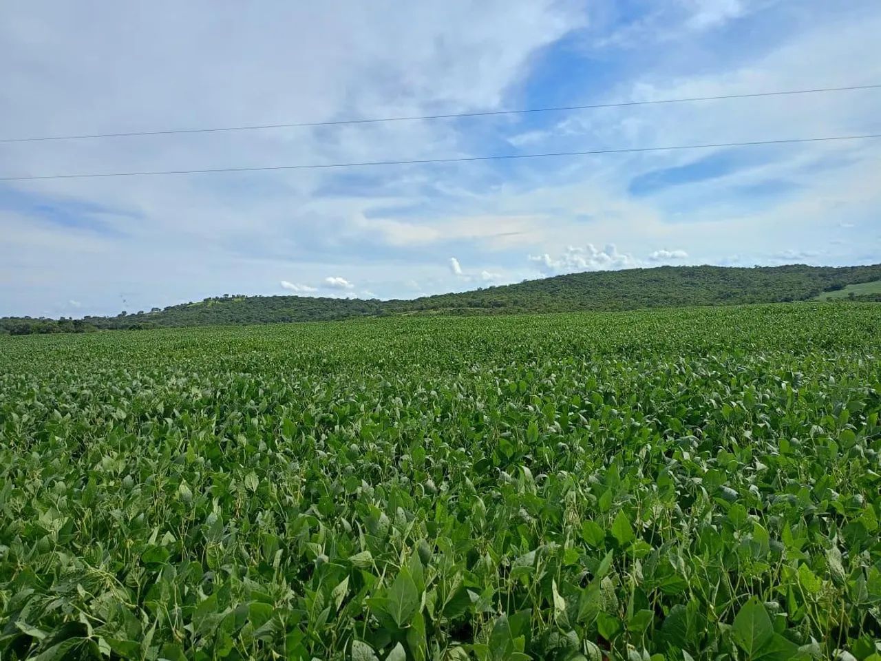 Ótima fazenda em Edéia  - Foto 2