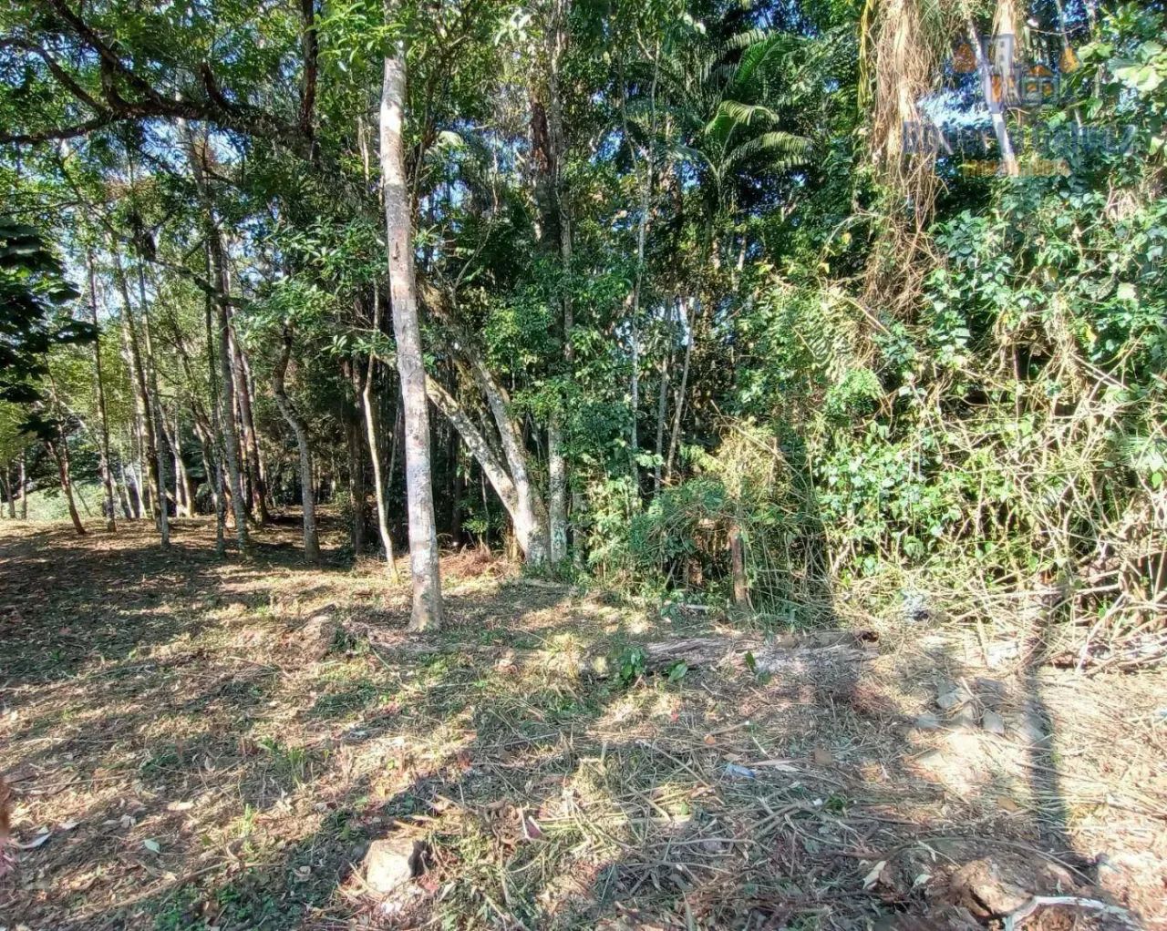 Terreno com boa topografia - Nova Friburgo/RJ - Foto 2