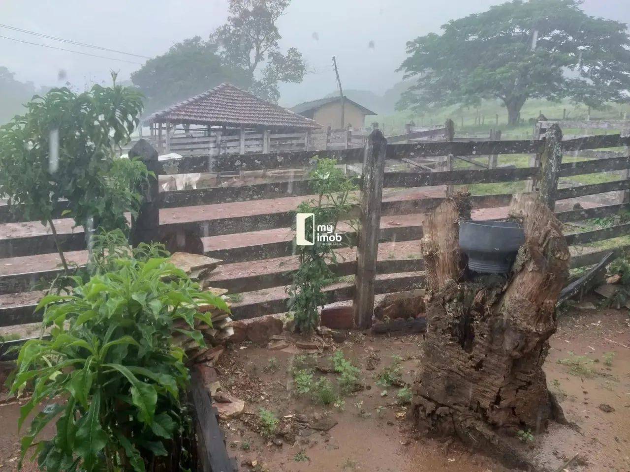 Fazenda 40 Alqueires em Cocalzinho-GO