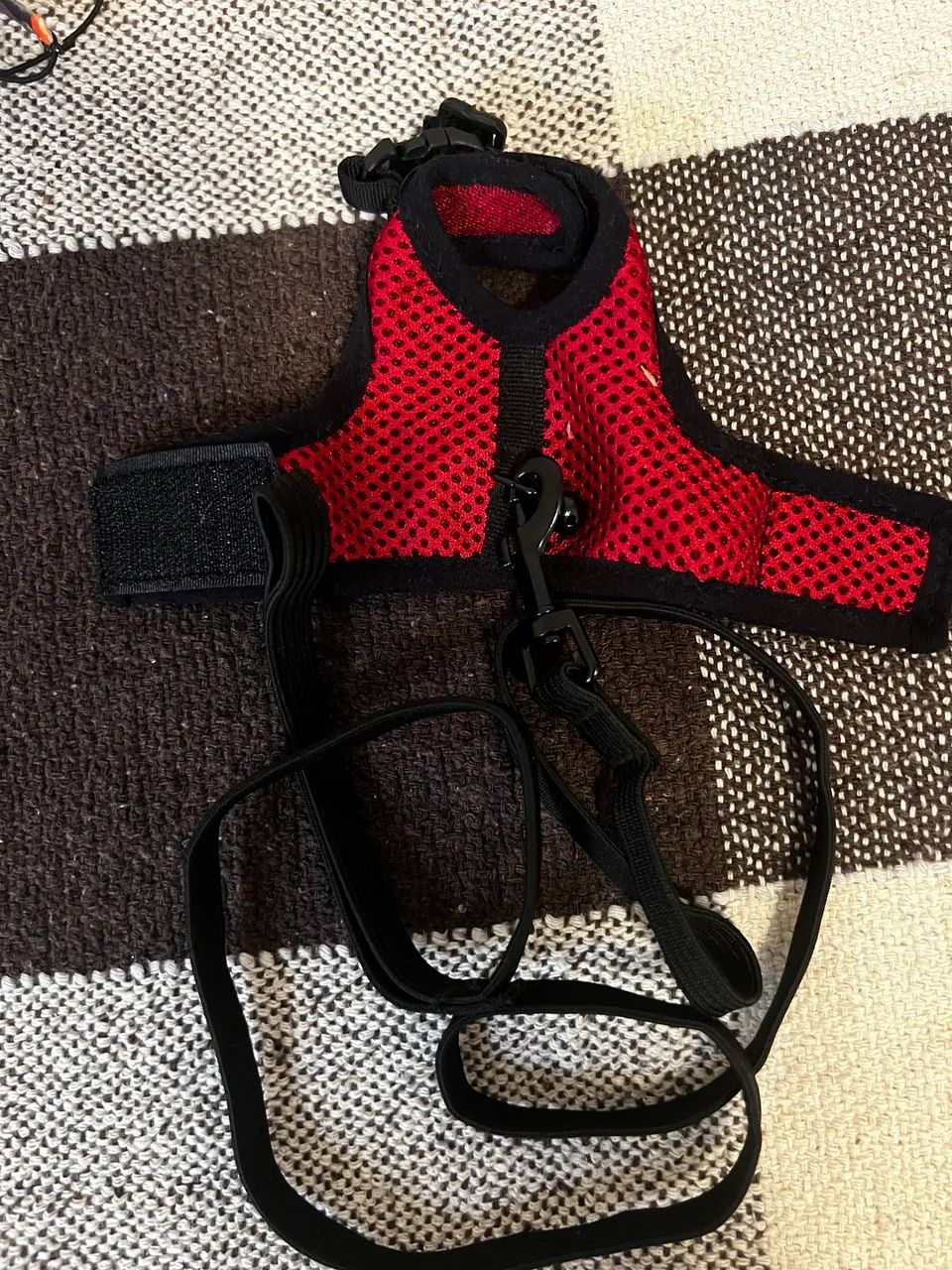 Conjunto completo para o seu roedor!  - Foto 6