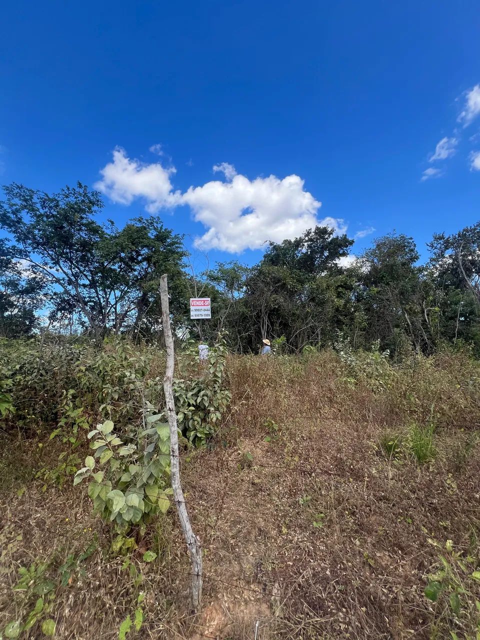 2,5 hectare Terrenão  - Foto 3