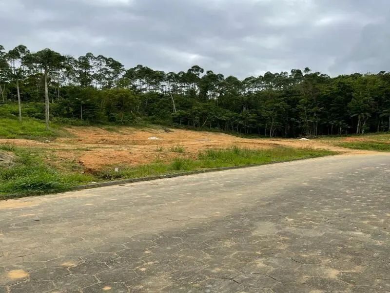 Terreno RODEIO - SC - Foto 3
