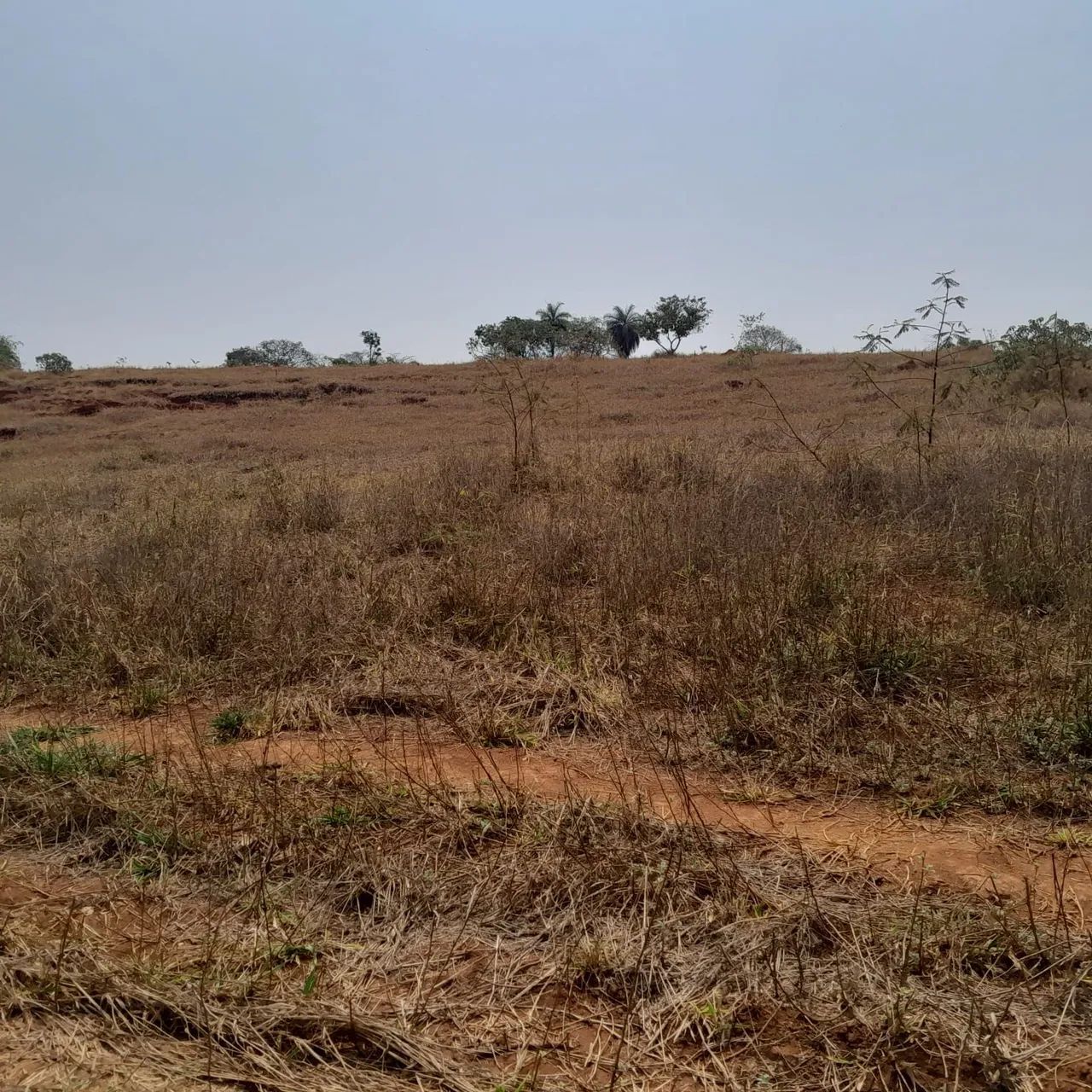 Terreno rural em juatuba  - Foto 5