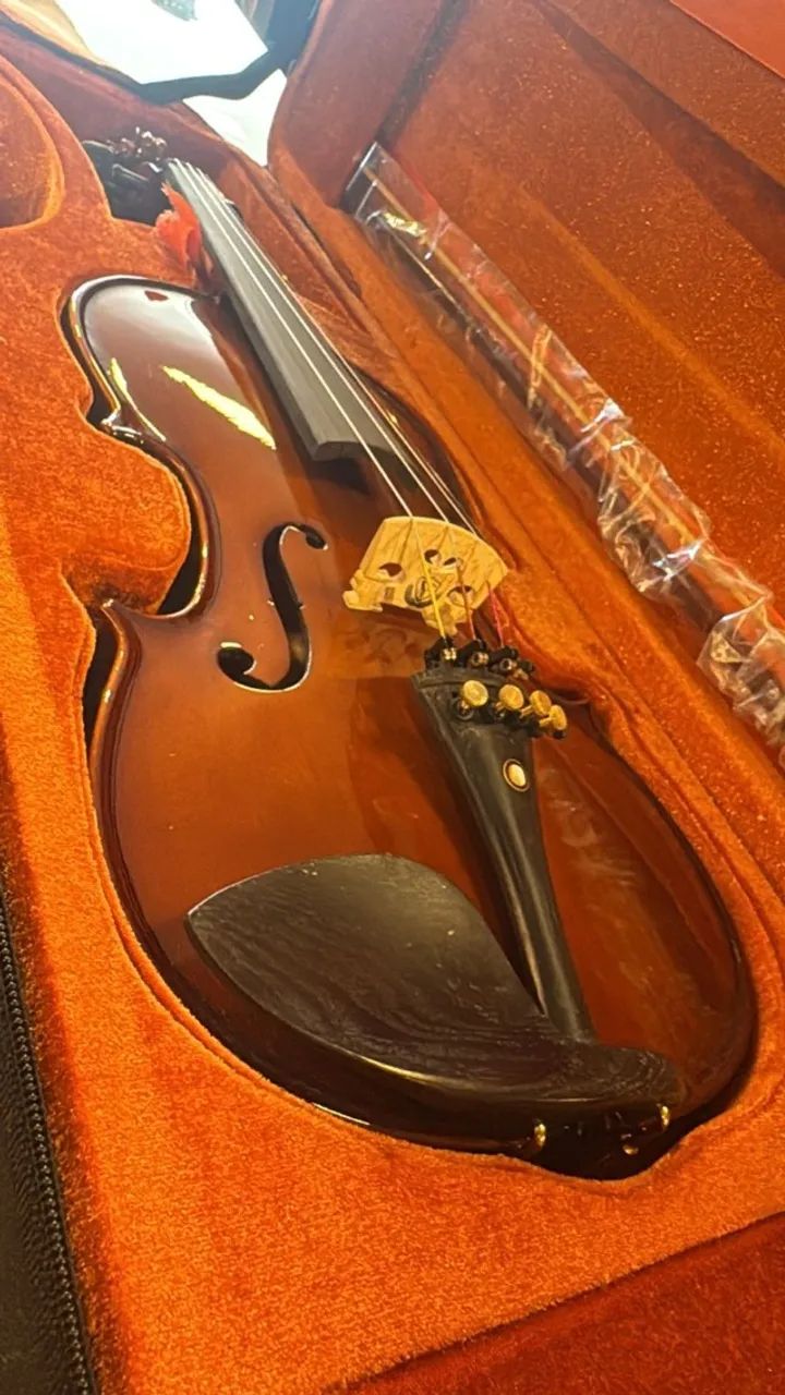 Violino Eagle VE 144