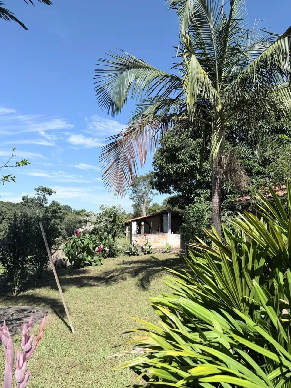 Chácara à venda em Aragoiânia  completa e pronta para você! - Foto 3