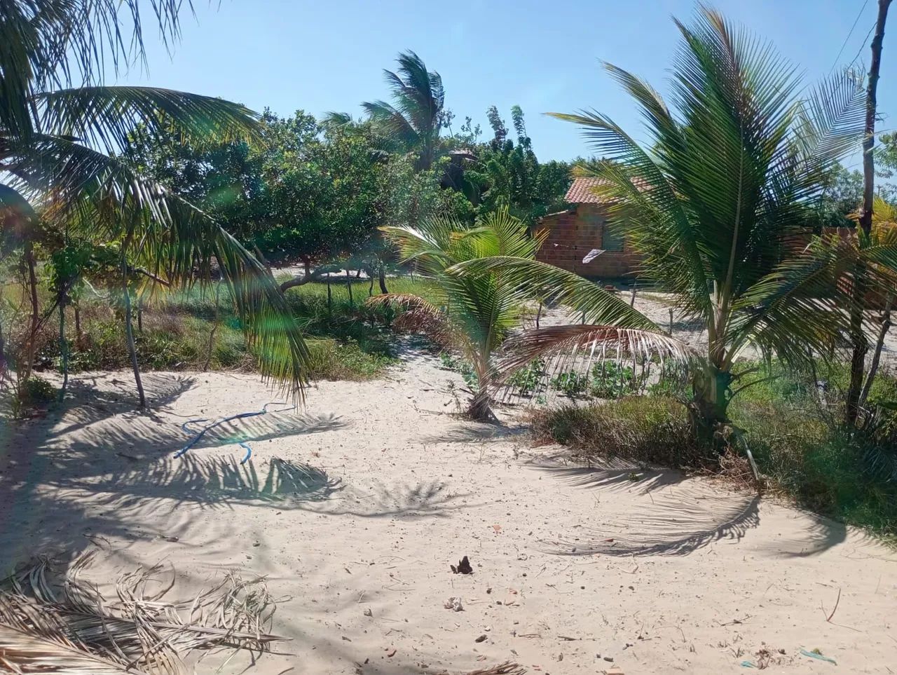 CASA A VENDA - Foto 4