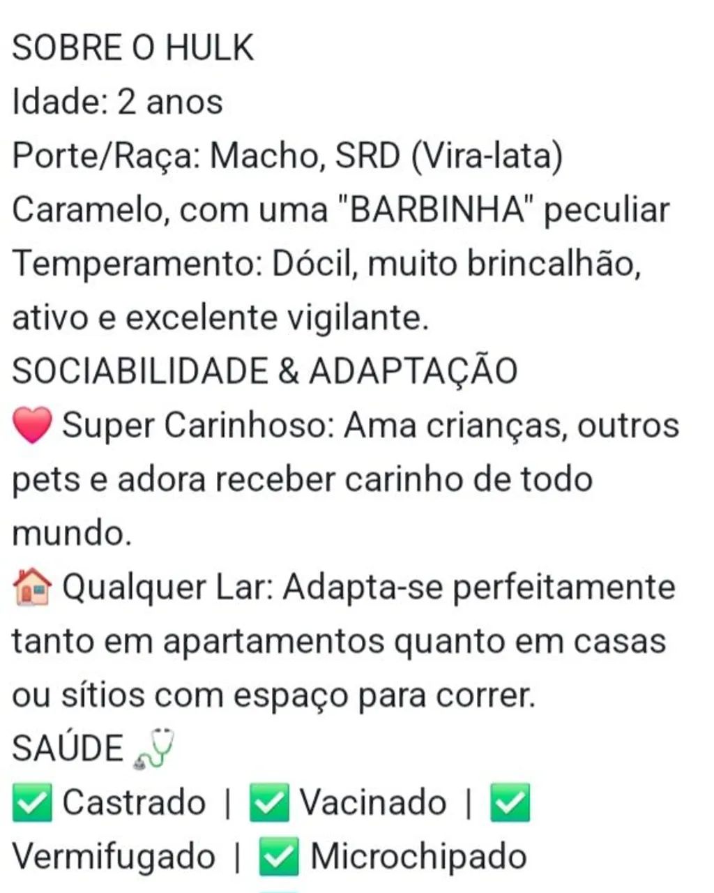 Adote um amigo! - Foto 5