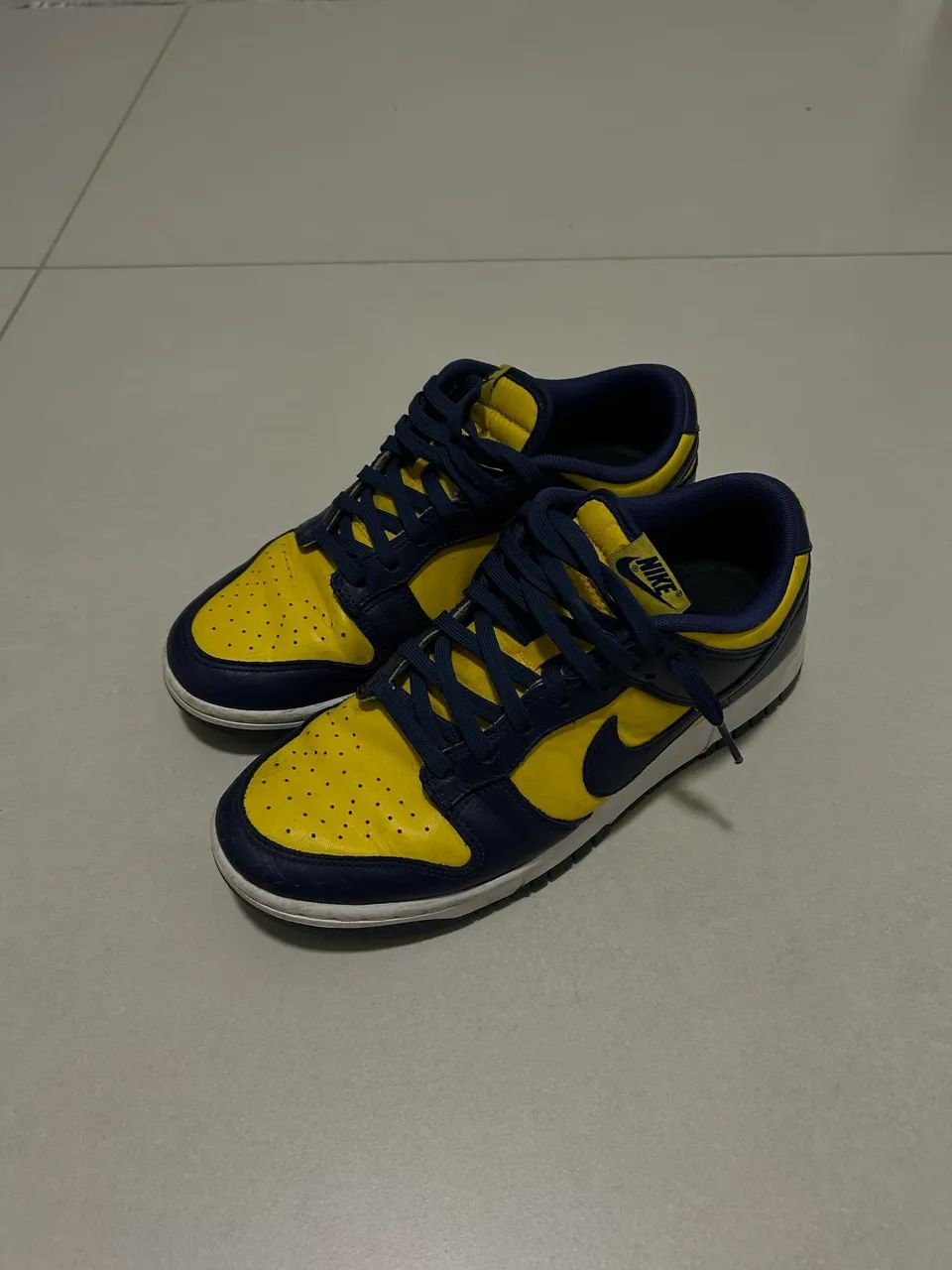 Nike Dunk 41 michigan low