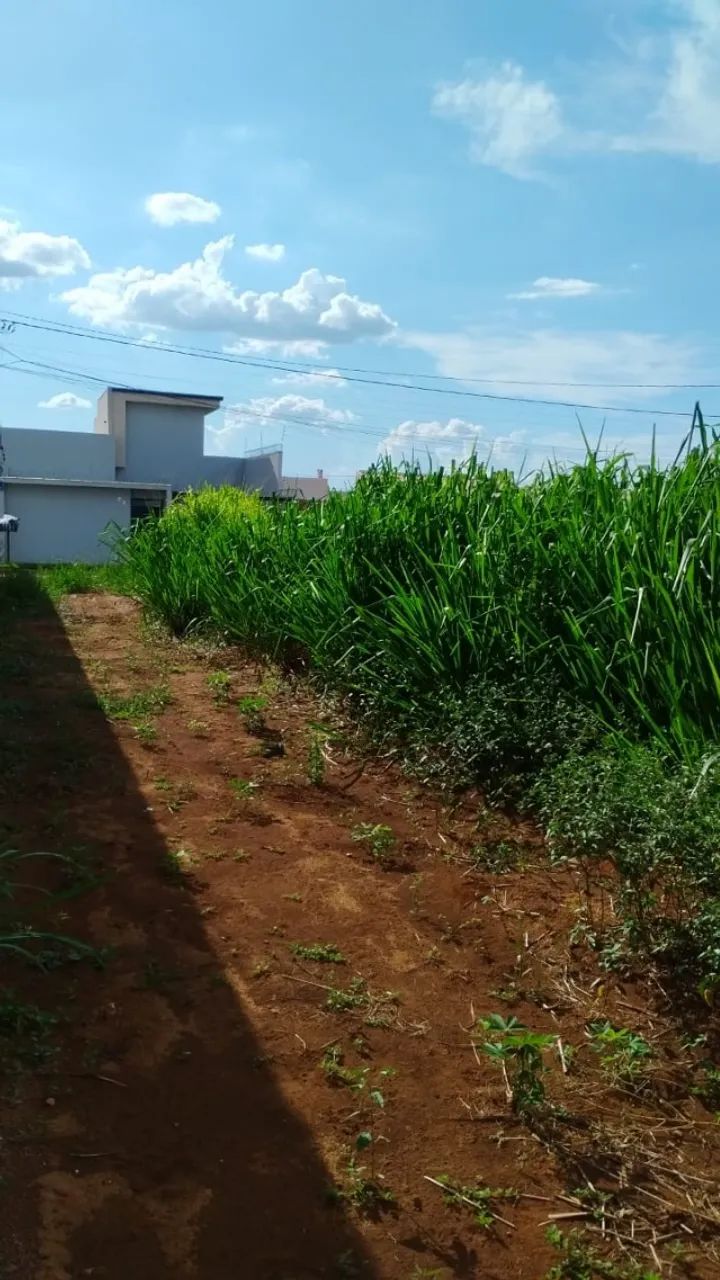 Terreno 250m²