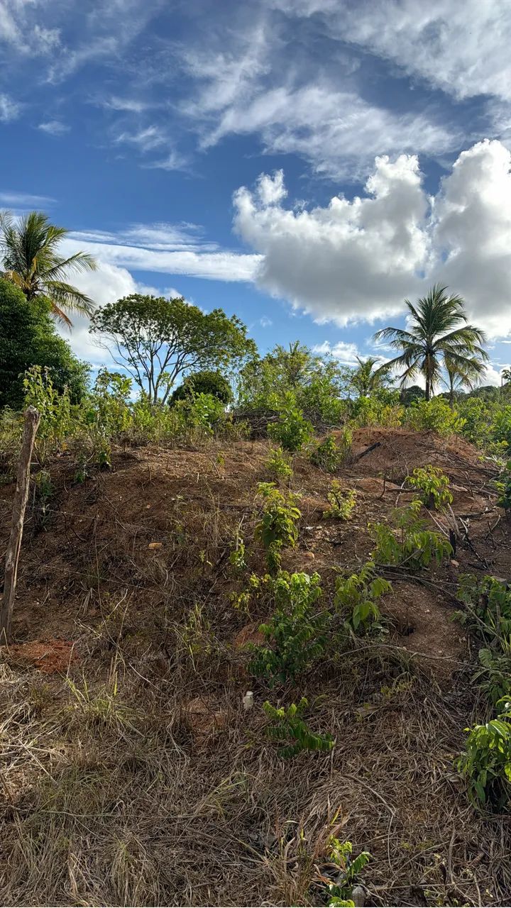 Vende -se lotes 7 x 21,5