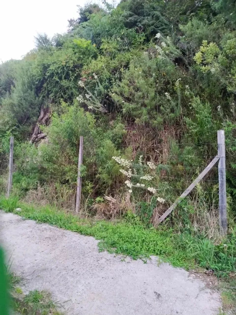 CAXIAS DO SUL - Terreno Padrão - CINQUENTENÁRIO - Foto 2