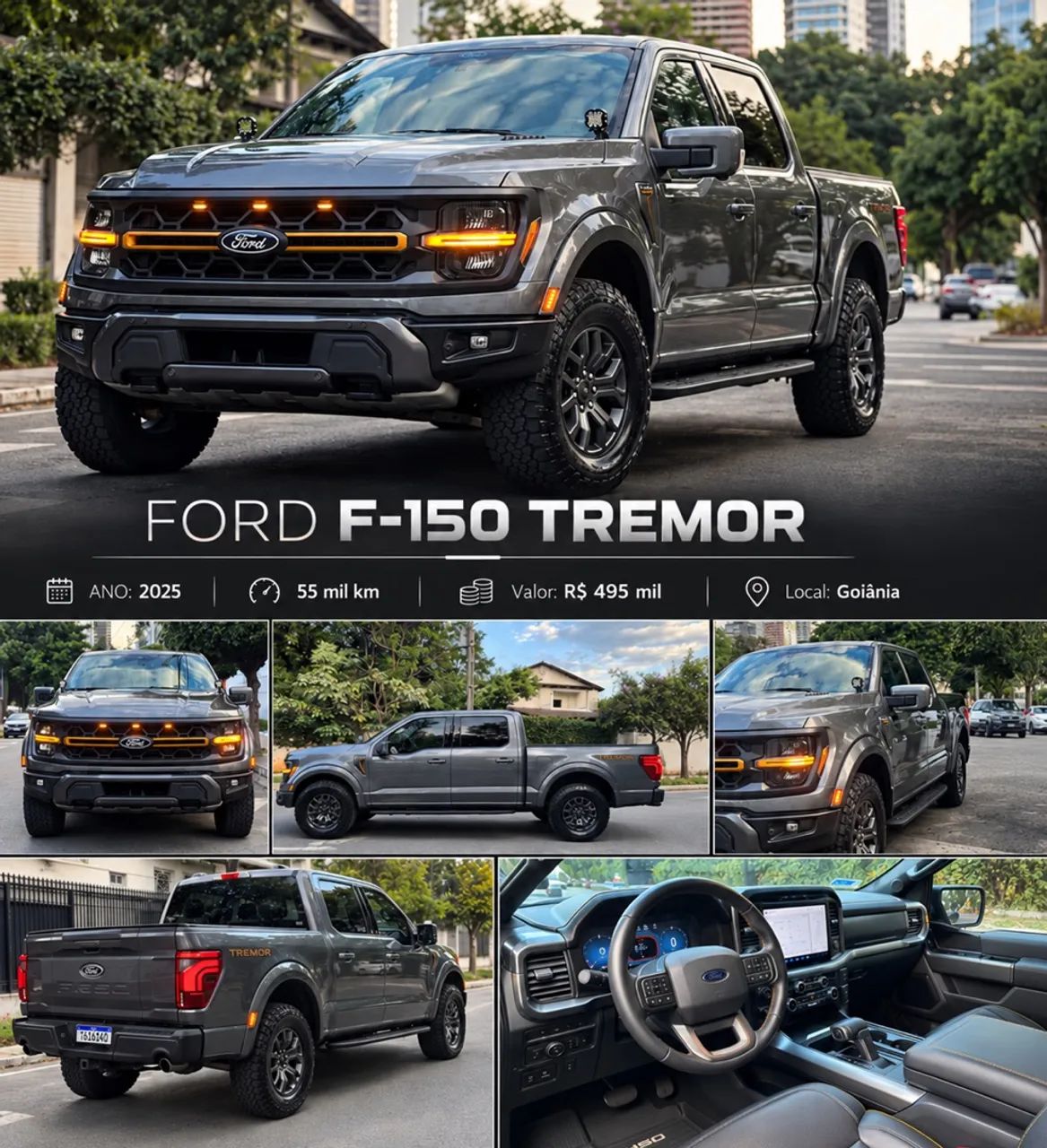 Ford F-150 F-150 Tremor 4x4 5.0 V8 2025