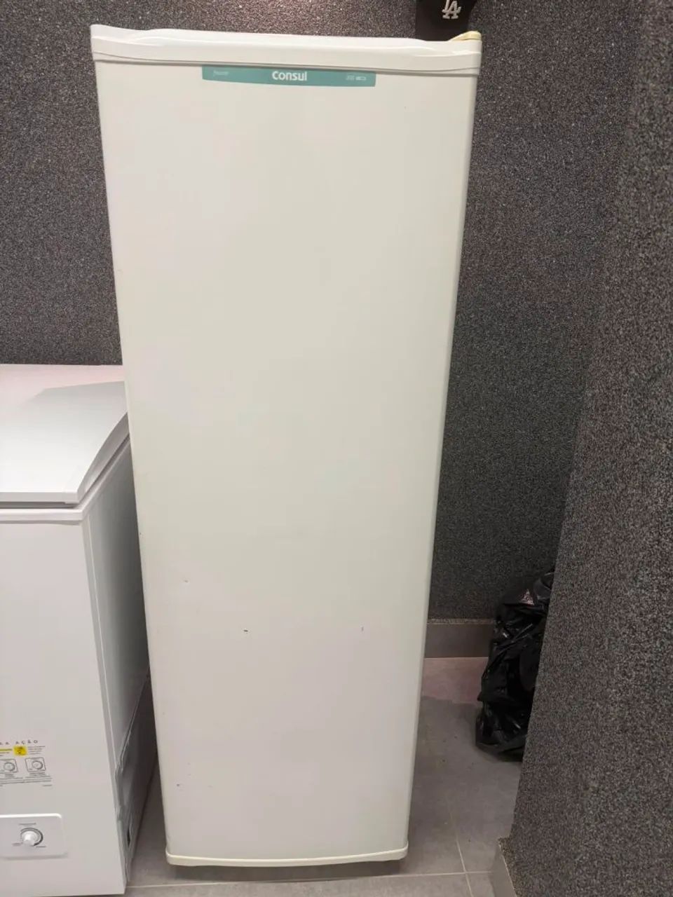 Freezer consul vertical 