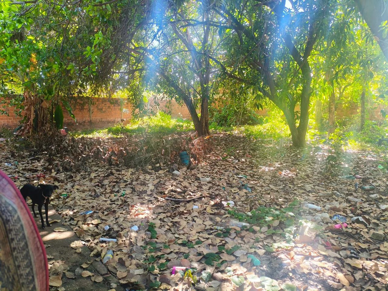 Terreno a venda  - Foto 4