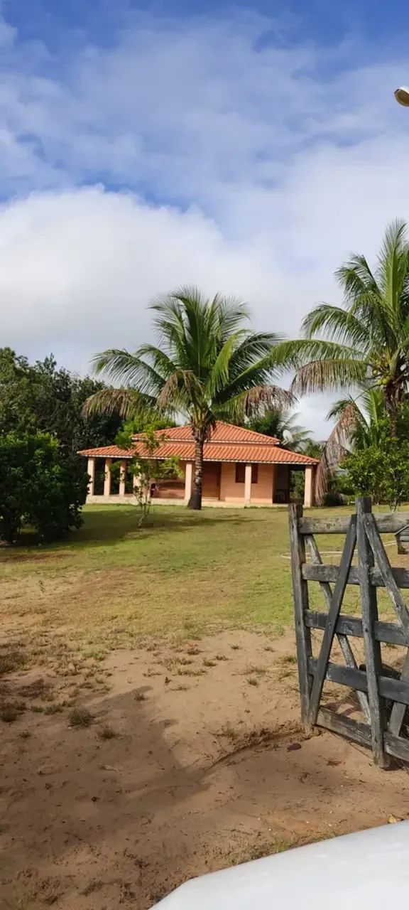 VENDO FAZENDA COM EUCALIPTOS