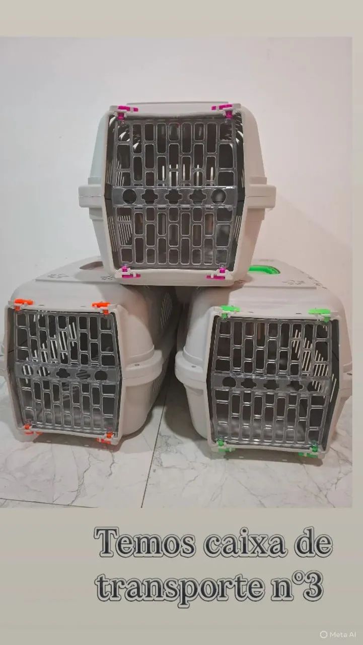 CAIXA DE TRANSPORTE PARA PET